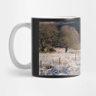 Winter at Park Neb Mug